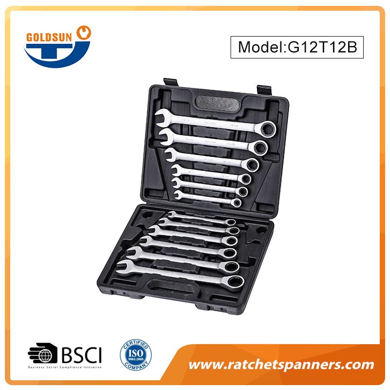 Alloy Ratchet Spanner Set