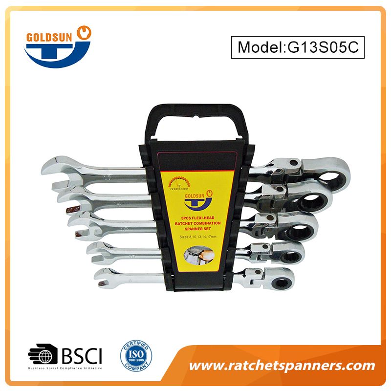 Hand Tools Ratchet Spanner Set