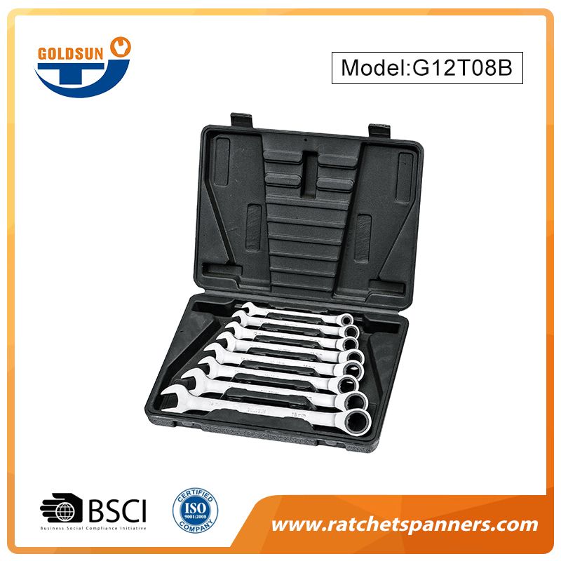 Handle Ratchet Spanner Set