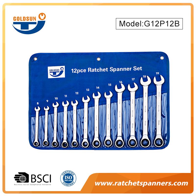 Mechanics Ratcheting Wrench Set