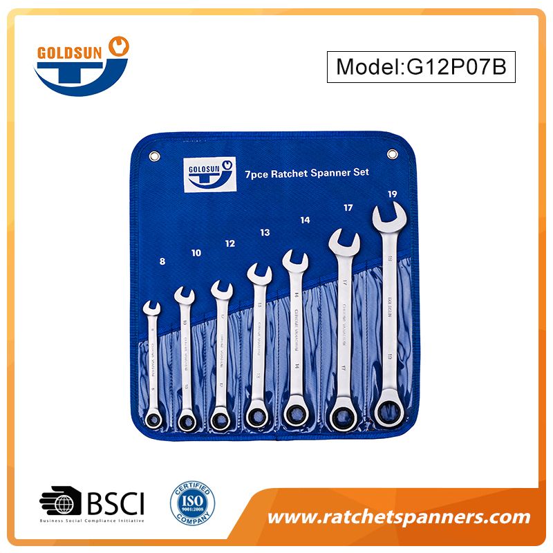 Multi-Size Ratcheting Wrench Set