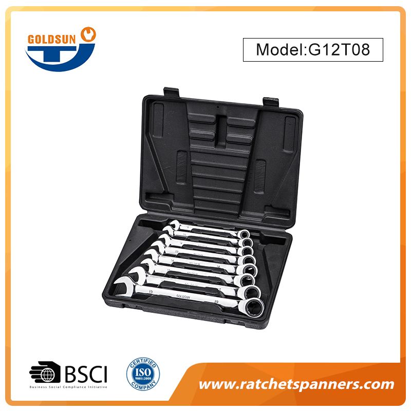 Ratchet Spanner Set with Plastic Case