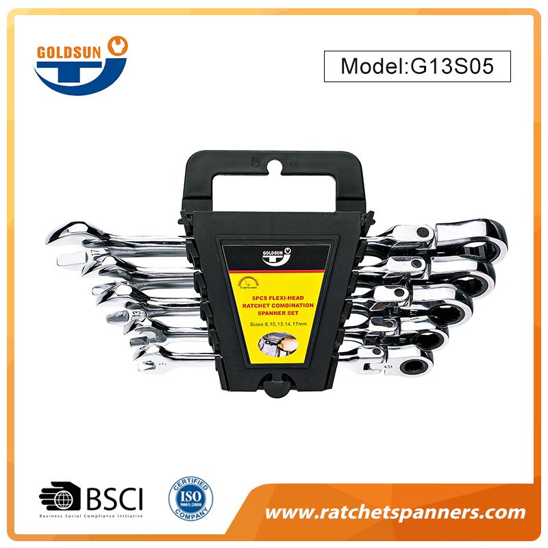 Reversible Ratchet Spanner Set